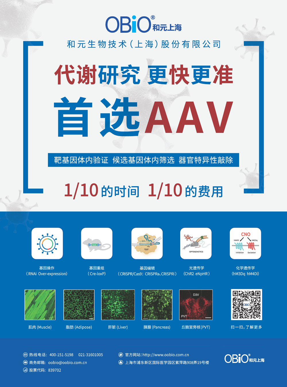 代谢研究,AAV